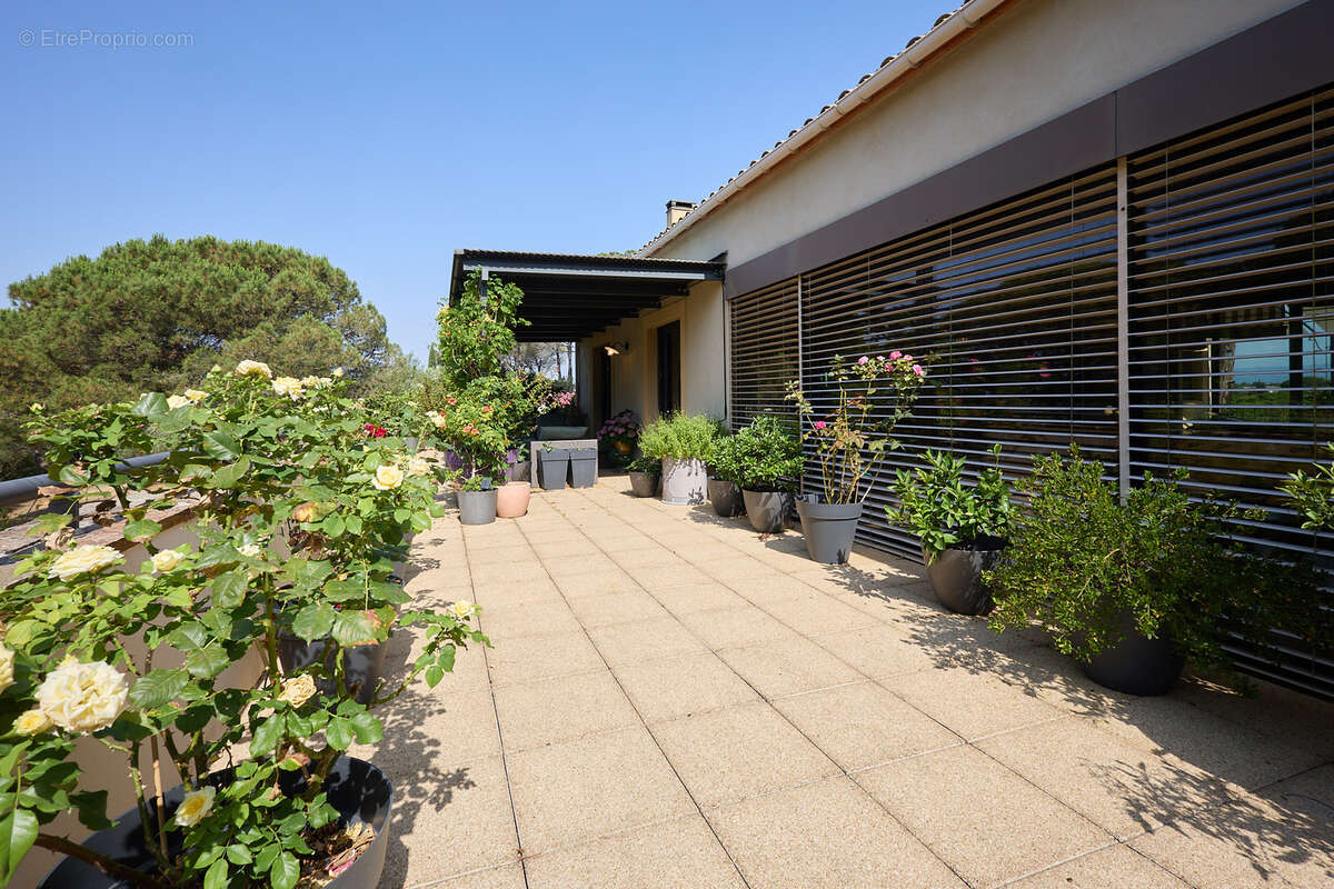 Maison à VILLEDUBERT