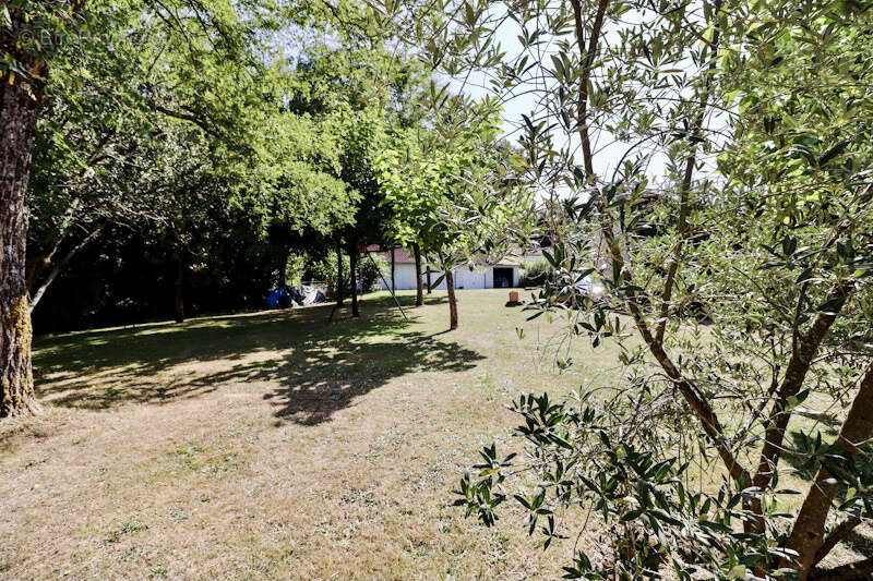 Maison à MESCHERS-SUR-GIRONDE