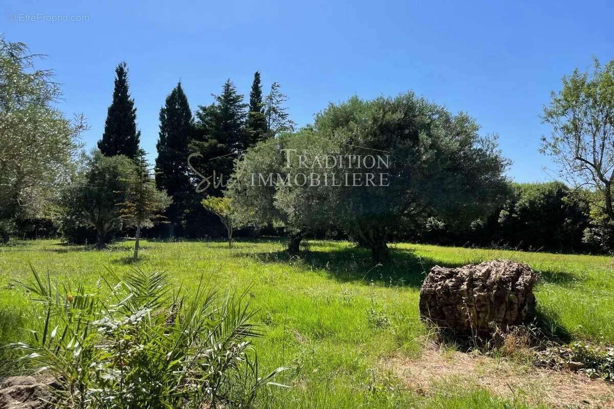 Maison à MAUSSANE-LES-ALPILLES