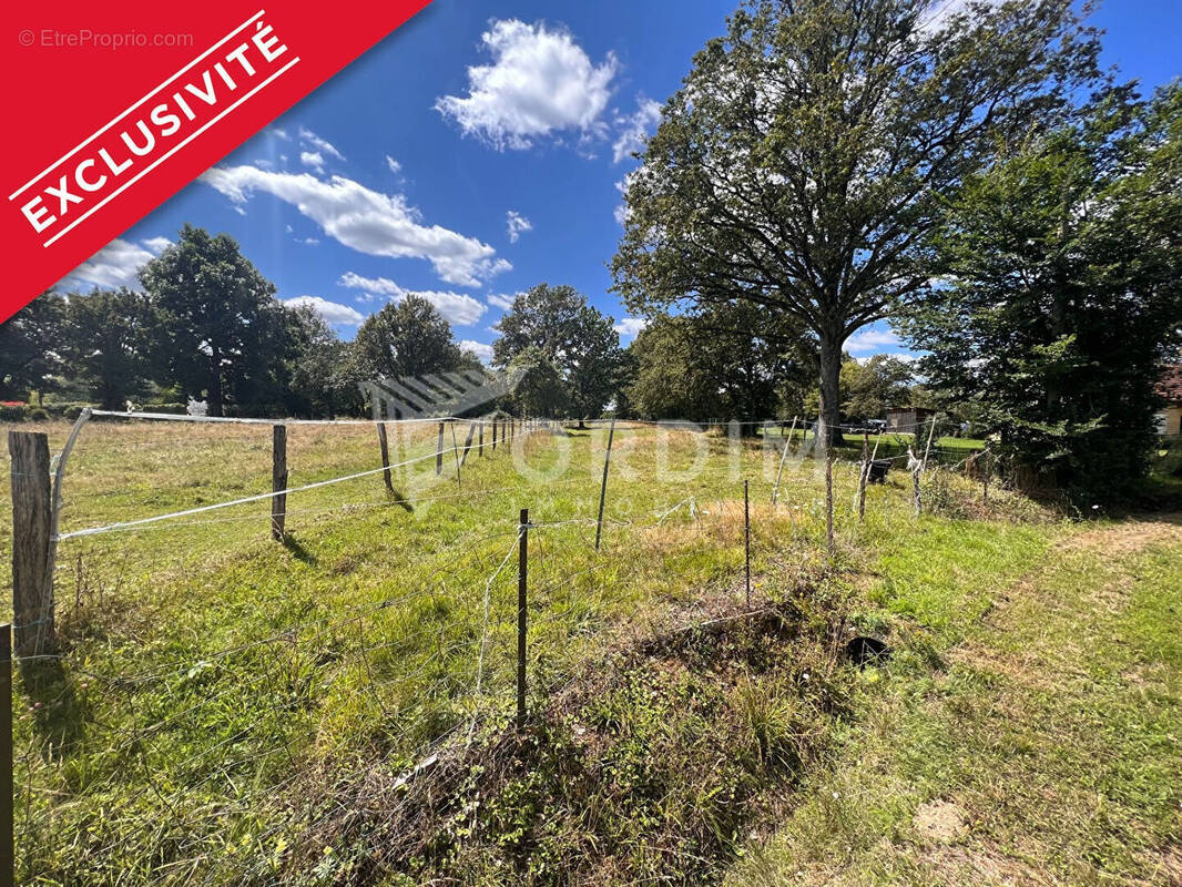 Terrain à SAINT-FARGEAU