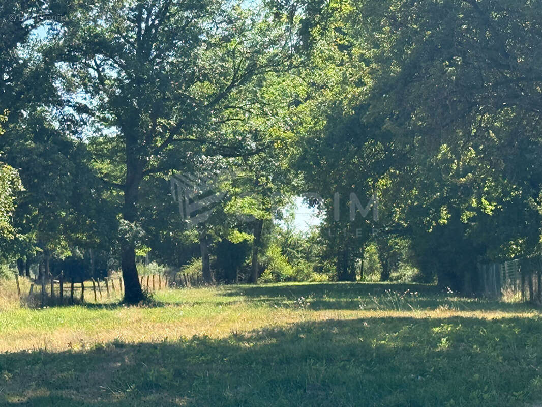 Terrain à SAINT-FARGEAU