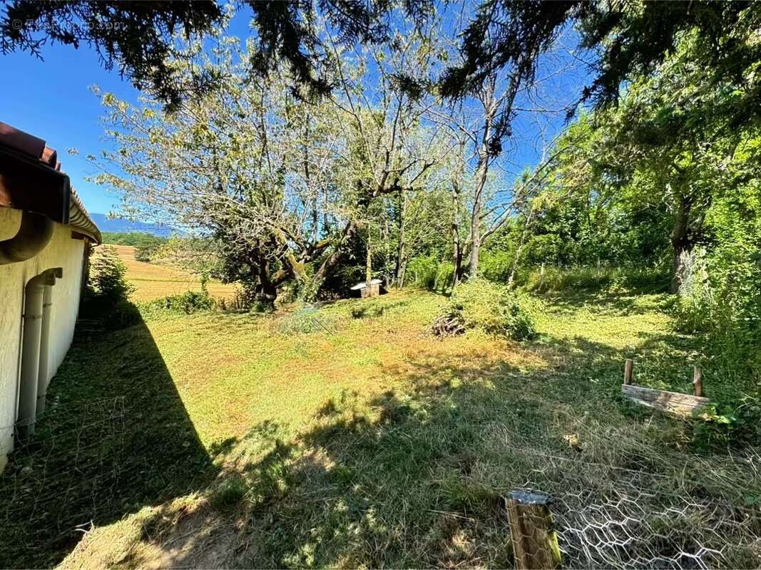 Maison à AUBERIVES-SUR-VAREZE