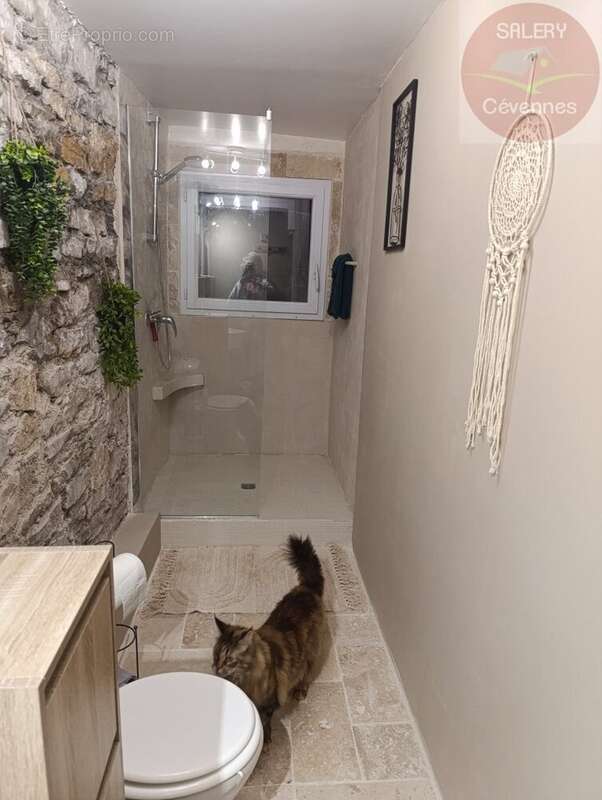 Maison à CANAULES-ET-ARGENTIERES