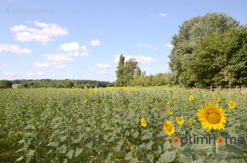 Maison à LE GRAND-MADIEU