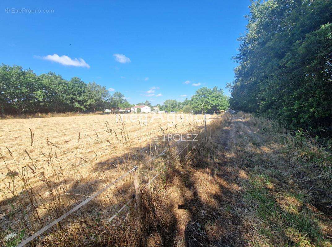 Maison à LANDERONDE