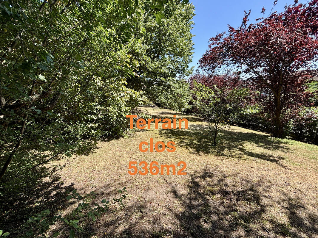 Terrain à LA ROCHE-BLANCHE