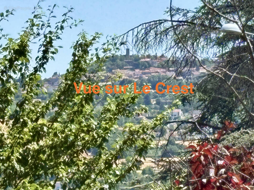 Terrain à LA ROCHE-BLANCHE