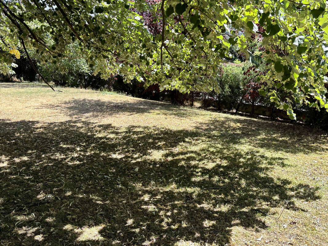 Terrain à LA ROCHE-BLANCHE