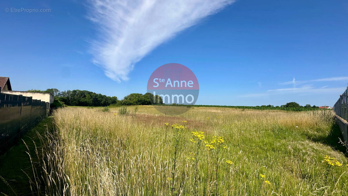 Terrain à FLERS-SUR-NOYE