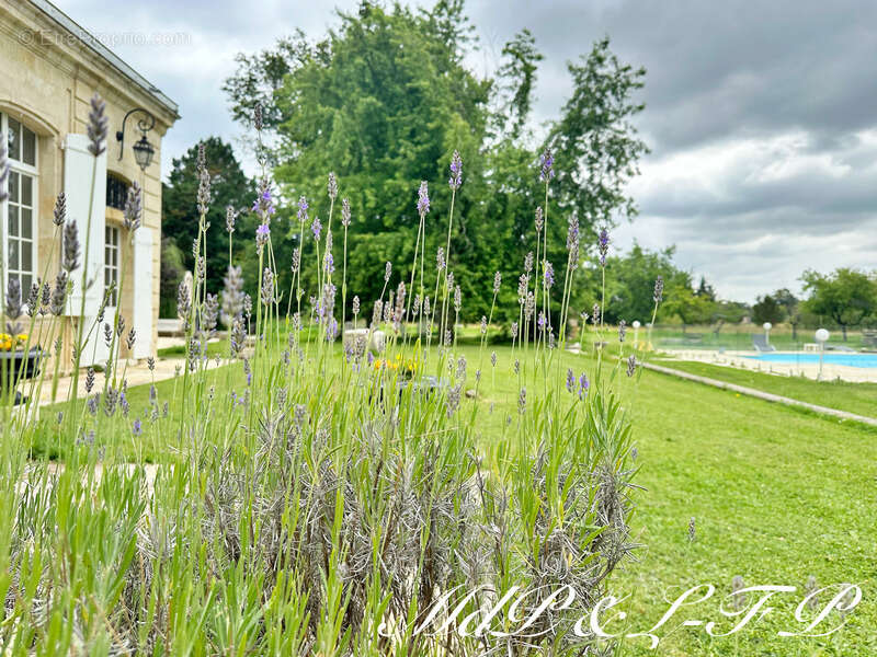 Maison à SAINT-AVIT-SAINT-NAZAIRE