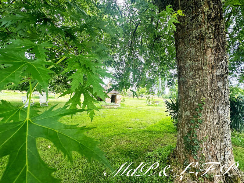 Maison à SAINT-AVIT-SAINT-NAZAIRE