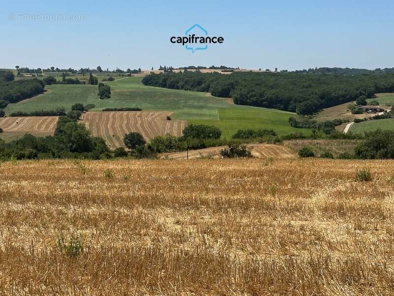 Maison à SAINT-SULPICE