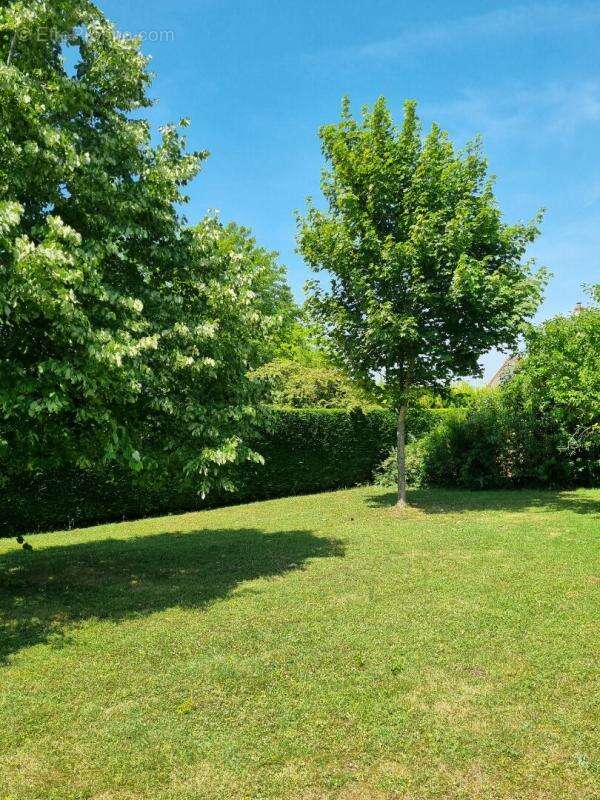 Maison à PLAIMPIED-GIVAUDINS