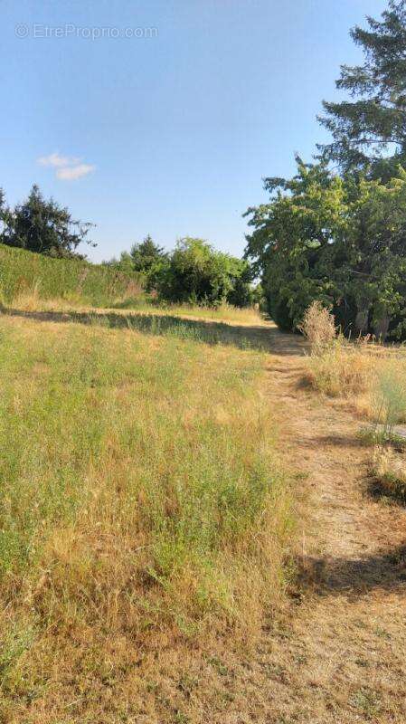 Terrain à CHATEAUROUX
