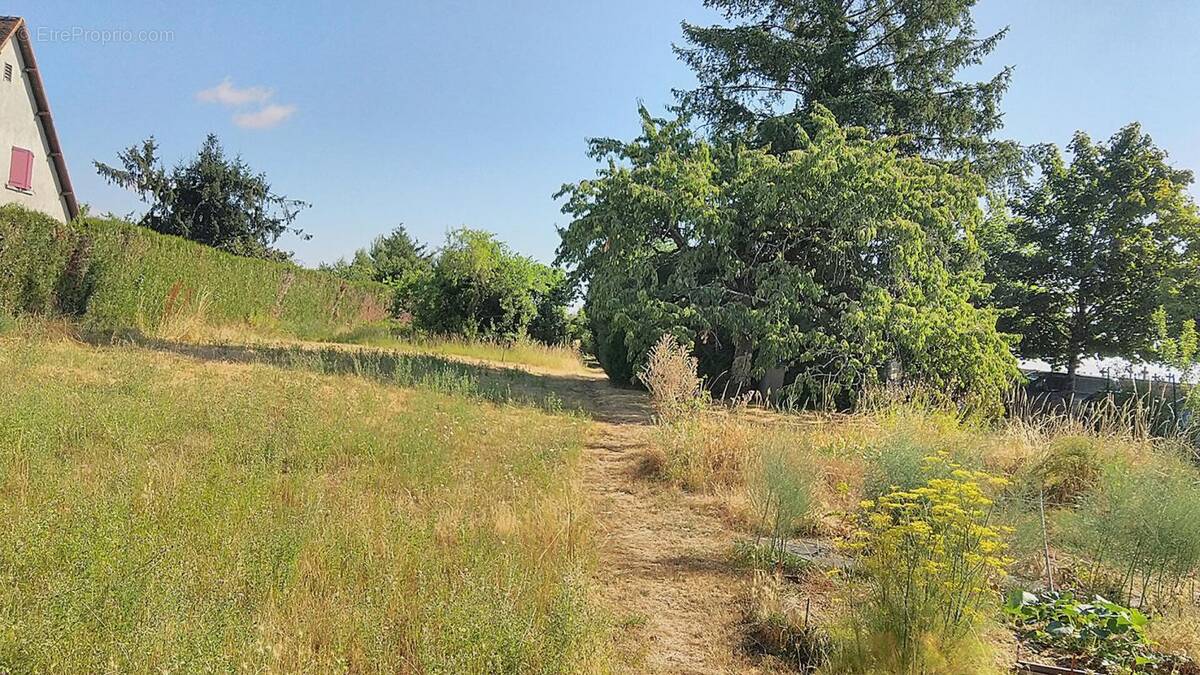 Terrain à CHATEAUROUX
