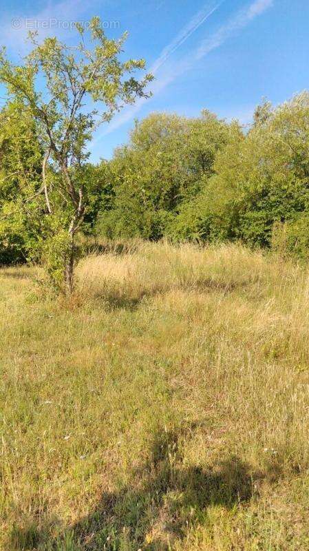 Terrain à CHATEAUROUX