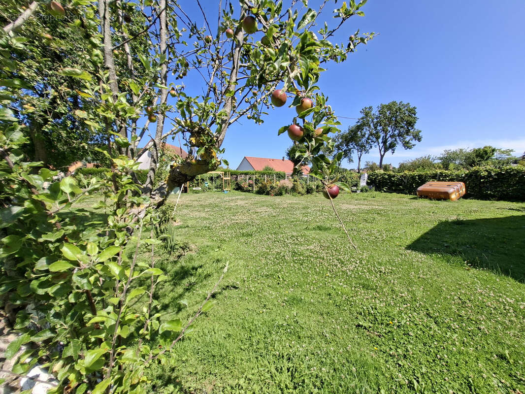 Maison à CRIEL-SUR-MER