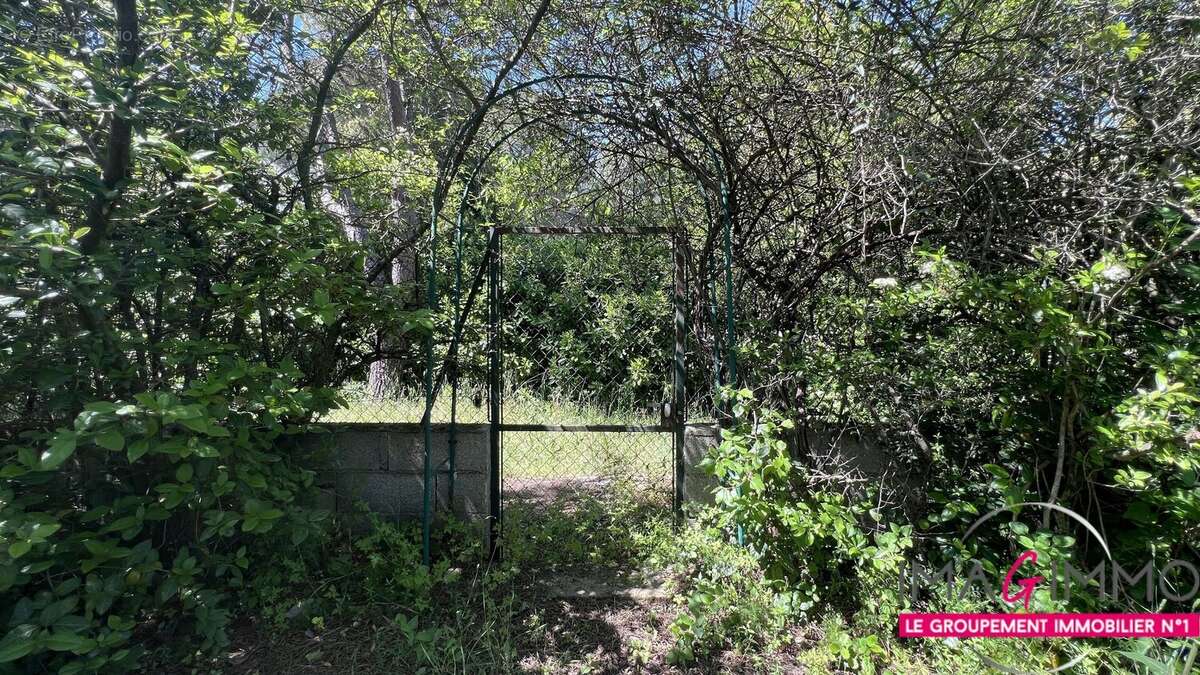 Maison à CASTELNAU-LE-LEZ