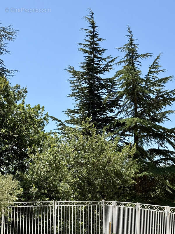 Maison à SAINT-MAXIMIN-LA-SAINTE-BAUME