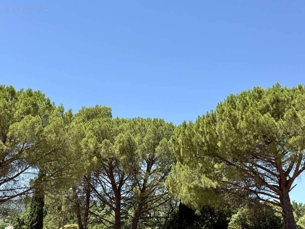 Maison à SAINT-MAXIMIN-LA-SAINTE-BAUME