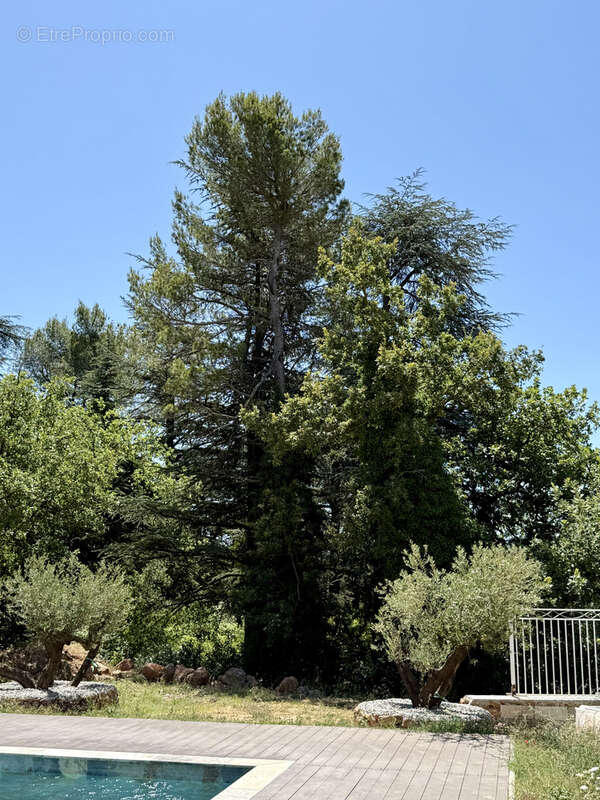 Maison à SAINT-MAXIMIN-LA-SAINTE-BAUME