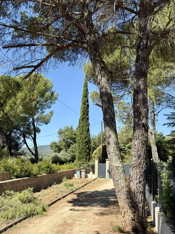 Maison à SAINT-MAXIMIN-LA-SAINTE-BAUME