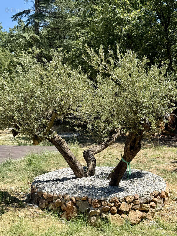 Maison à SAINT-MAXIMIN-LA-SAINTE-BAUME