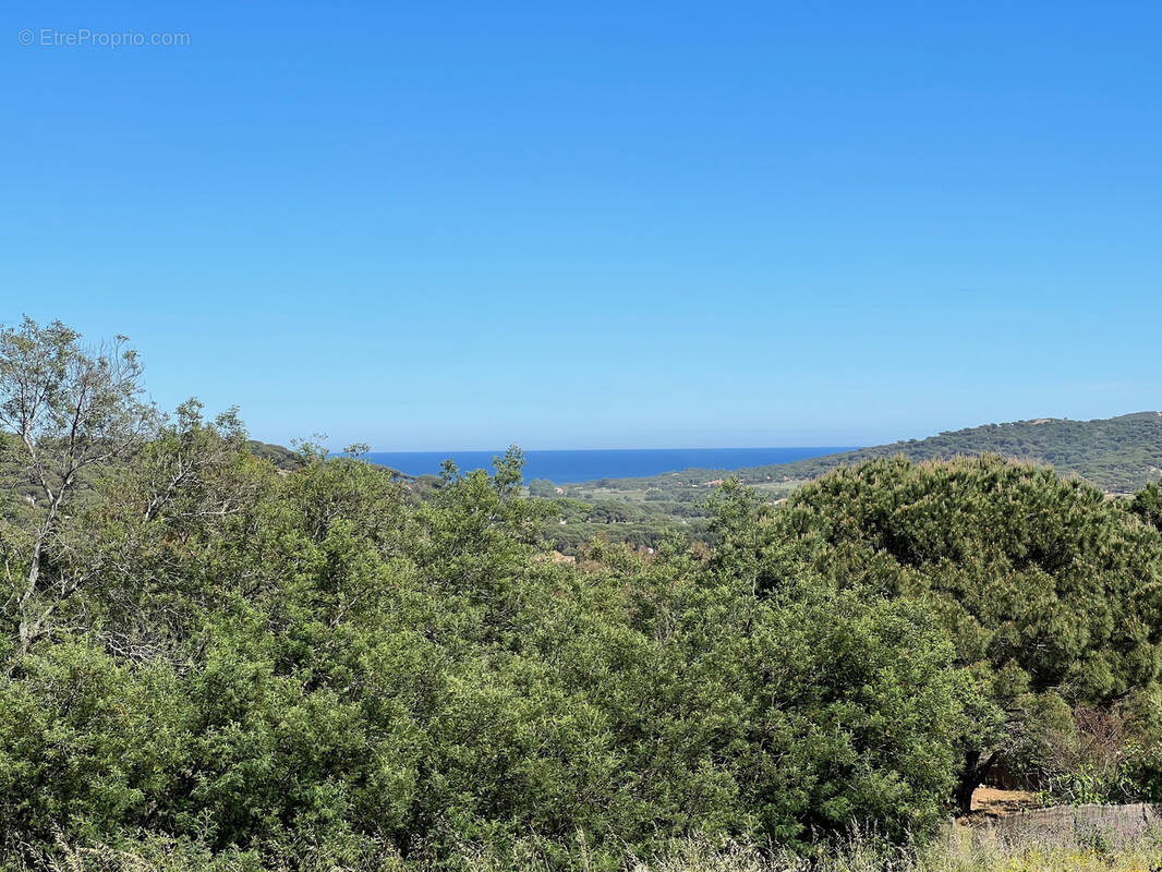 Maison à RAMATUELLE