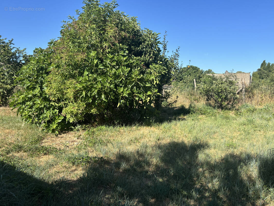 Terrain à BRIATEXTE