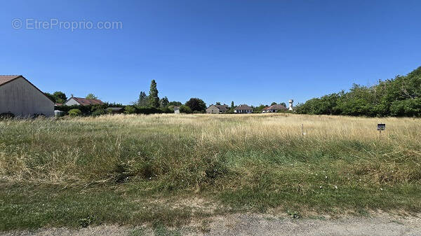 Terrain à CRAVANT