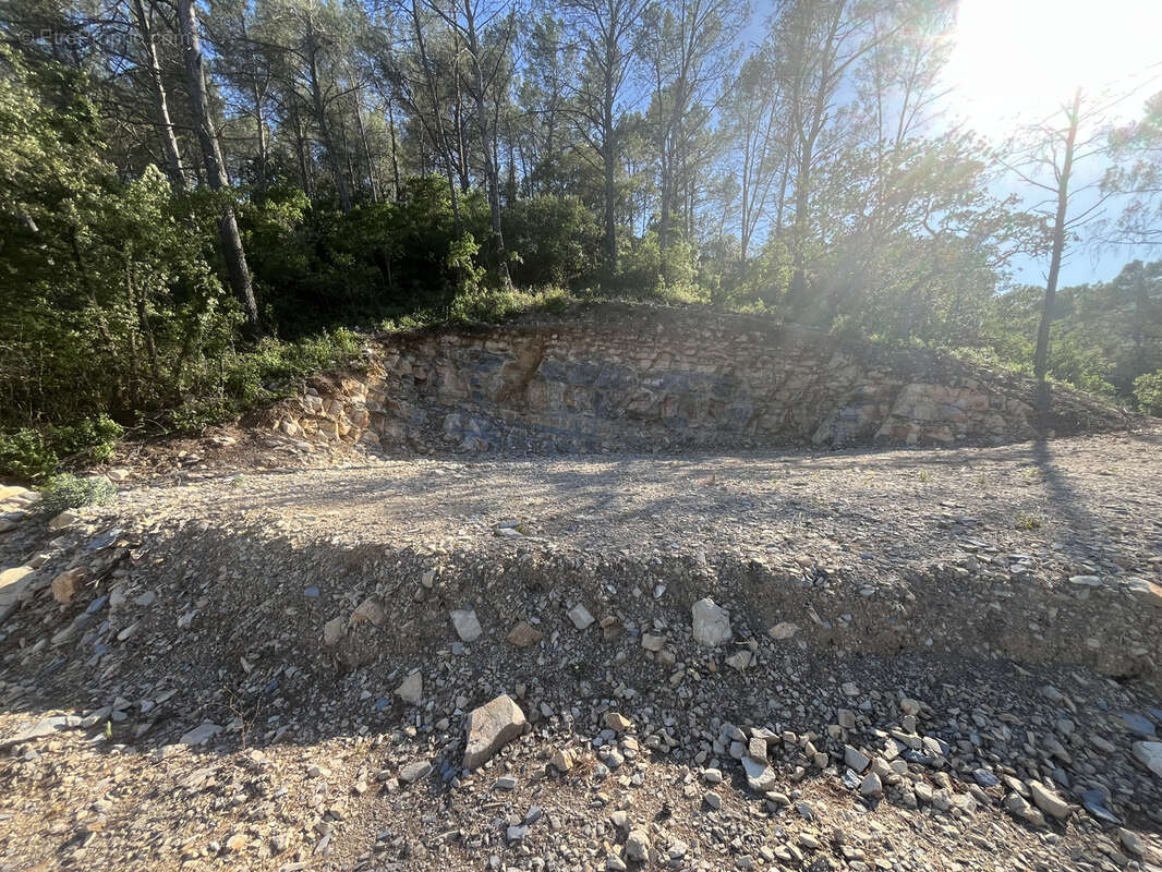 Terrain à BELGENTIER