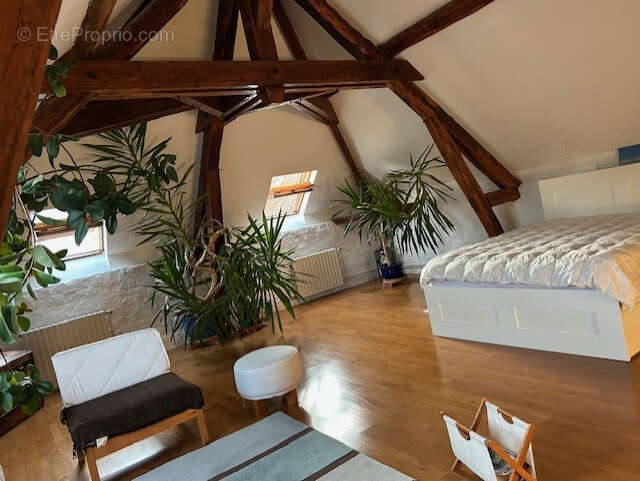 Maison à SAINT-LOUP-DES-VIGNES