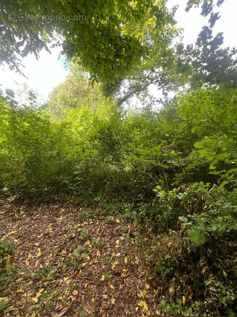 Terrain à LA MOTTE-TILLY