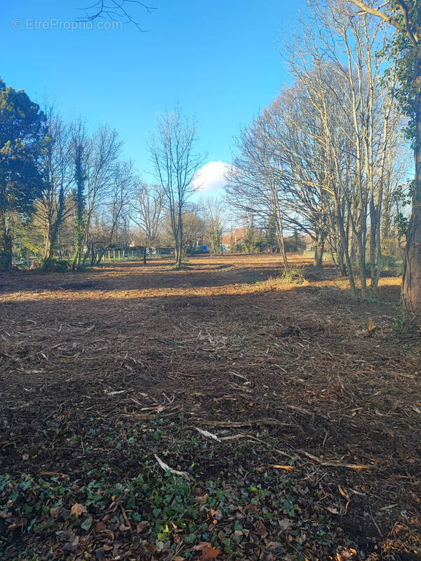 Terrain à LA MOTTE-TILLY