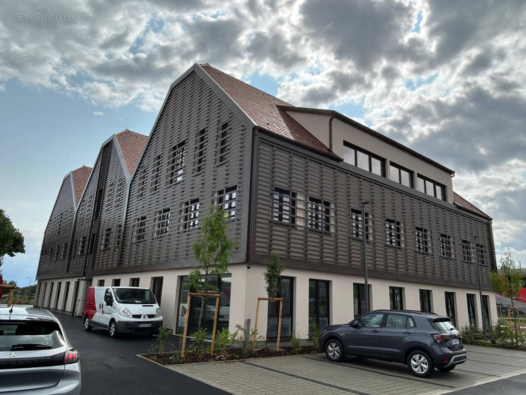 Commerce à MOLSHEIM