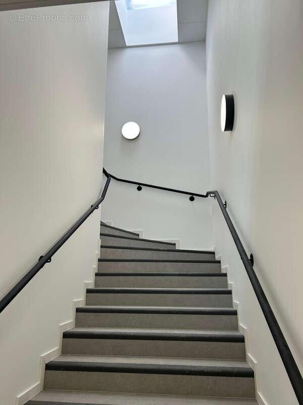 Commerce à MOLSHEIM