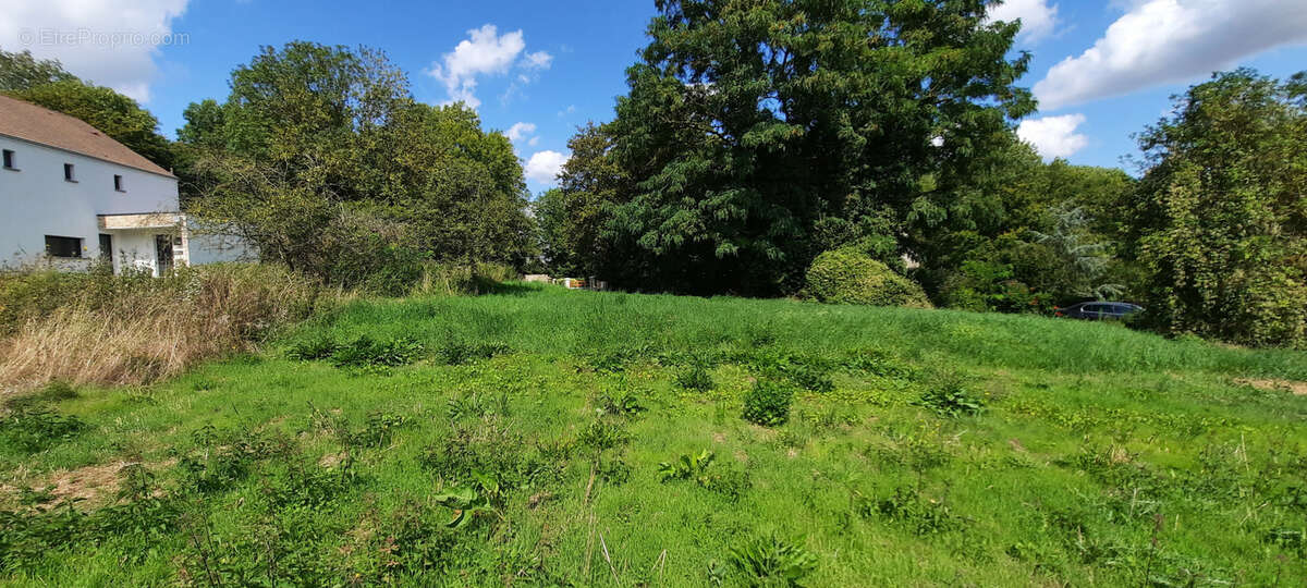 Terrain à QUINCY-VOISINS