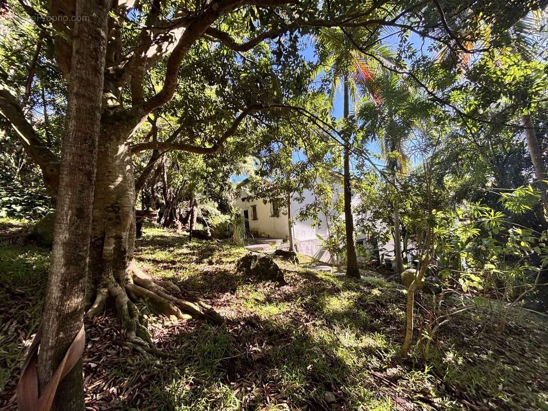 Maison à SAINT-DENIS