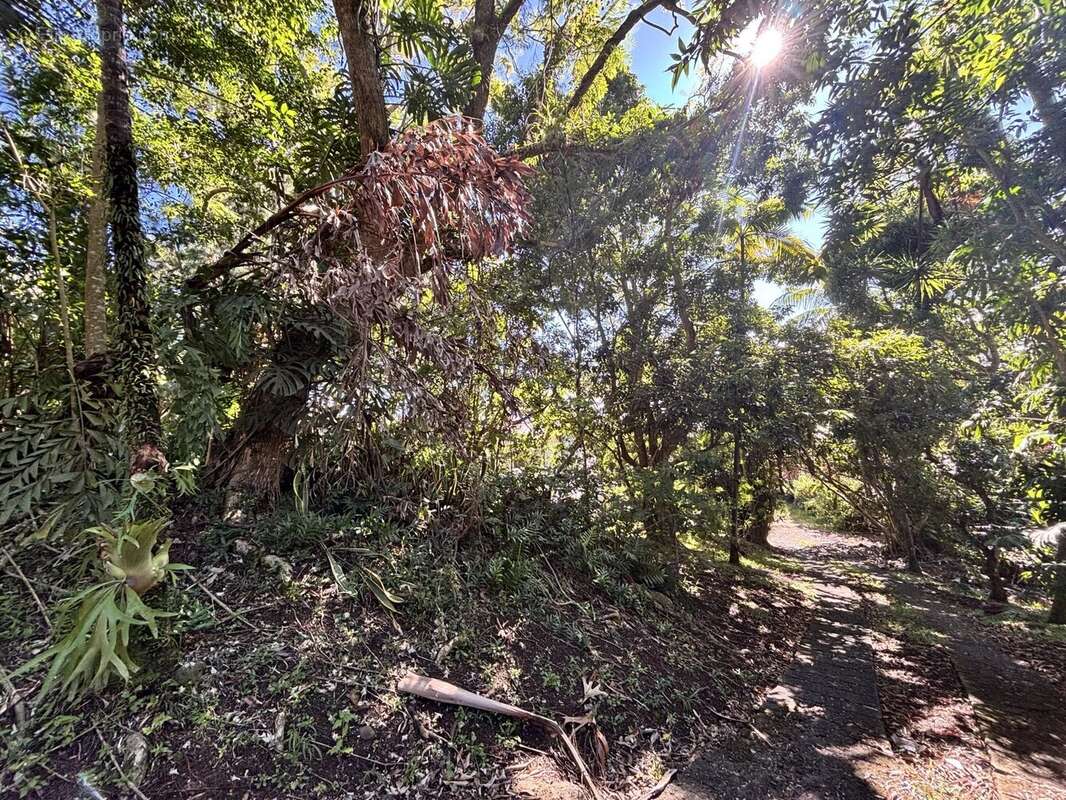 Maison à SAINT-DENIS