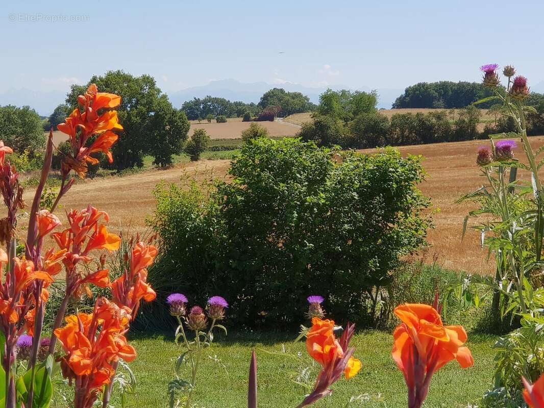 mv3 - Maison à MIELAN