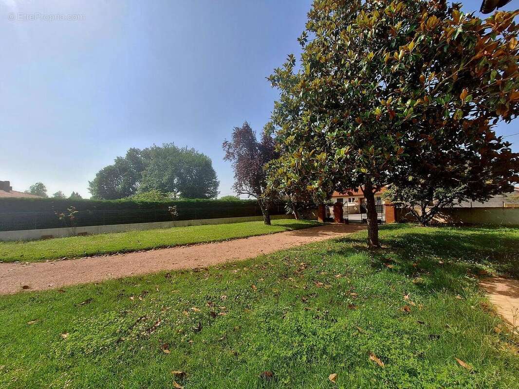 1000052618 - Maison à BOULOGNE-SUR-GESSE