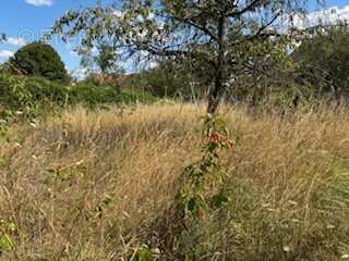 Terrain à GARGENVILLE