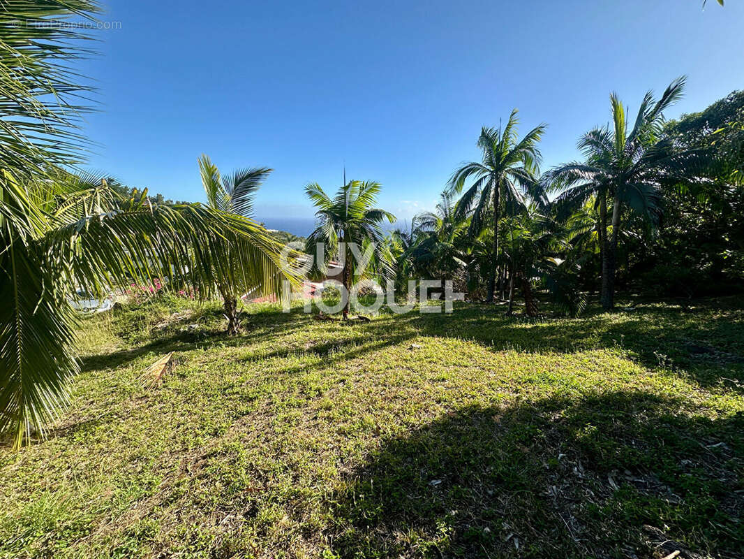 Terrain à SAINT-DENIS