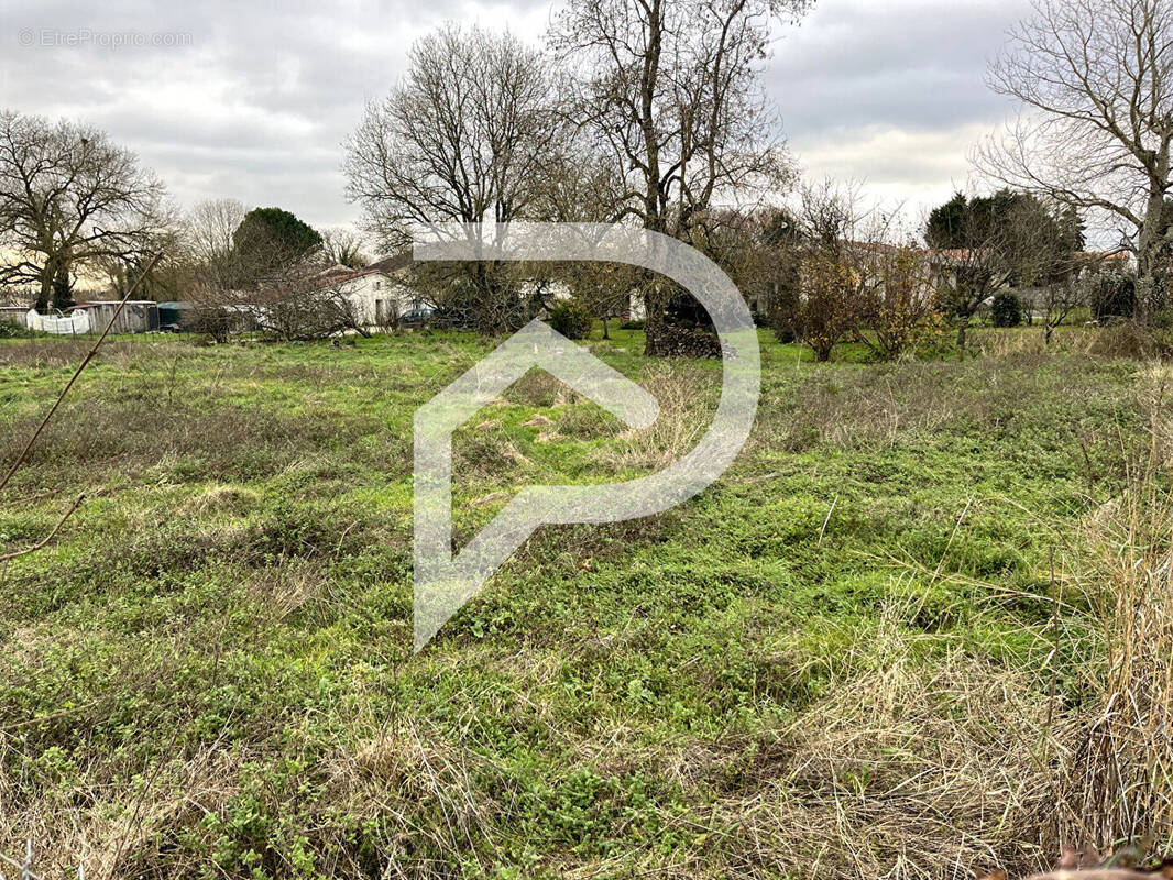 Terrain à LA CLISSE