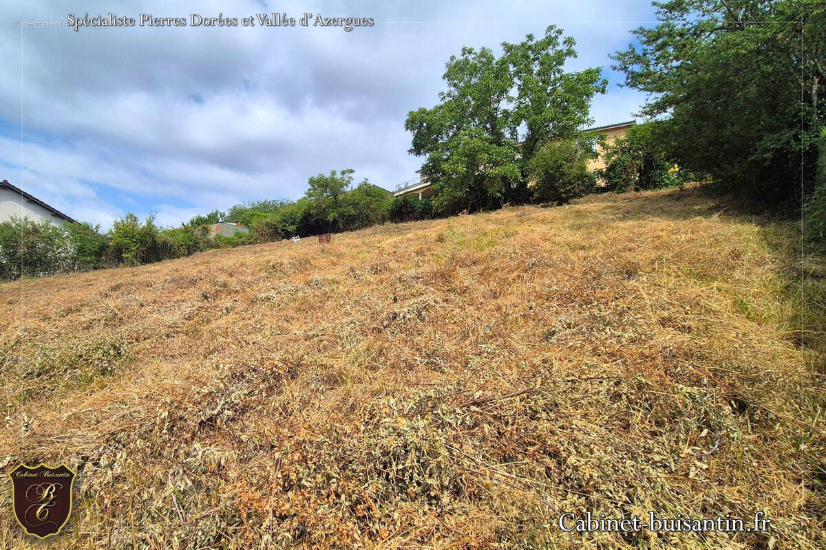 Terrain à LE BOIS-D&#039;OINGT