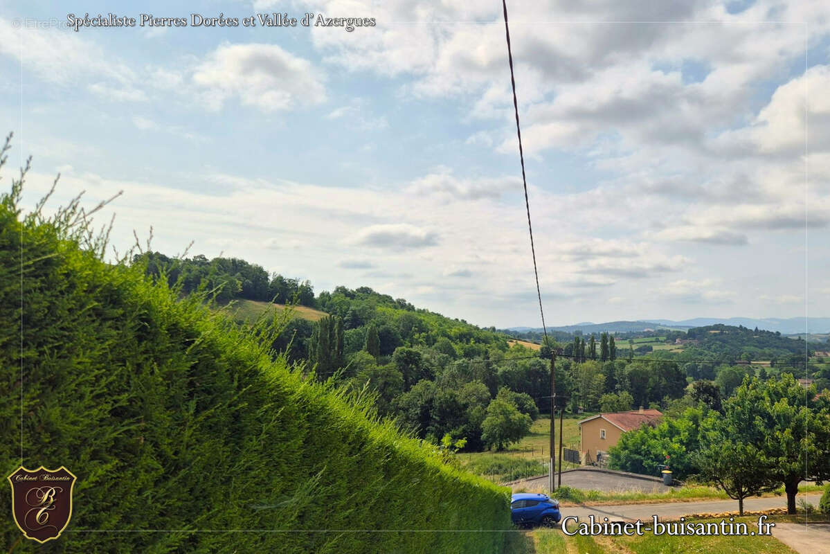 Terrain à LE BOIS-D&#039;OINGT