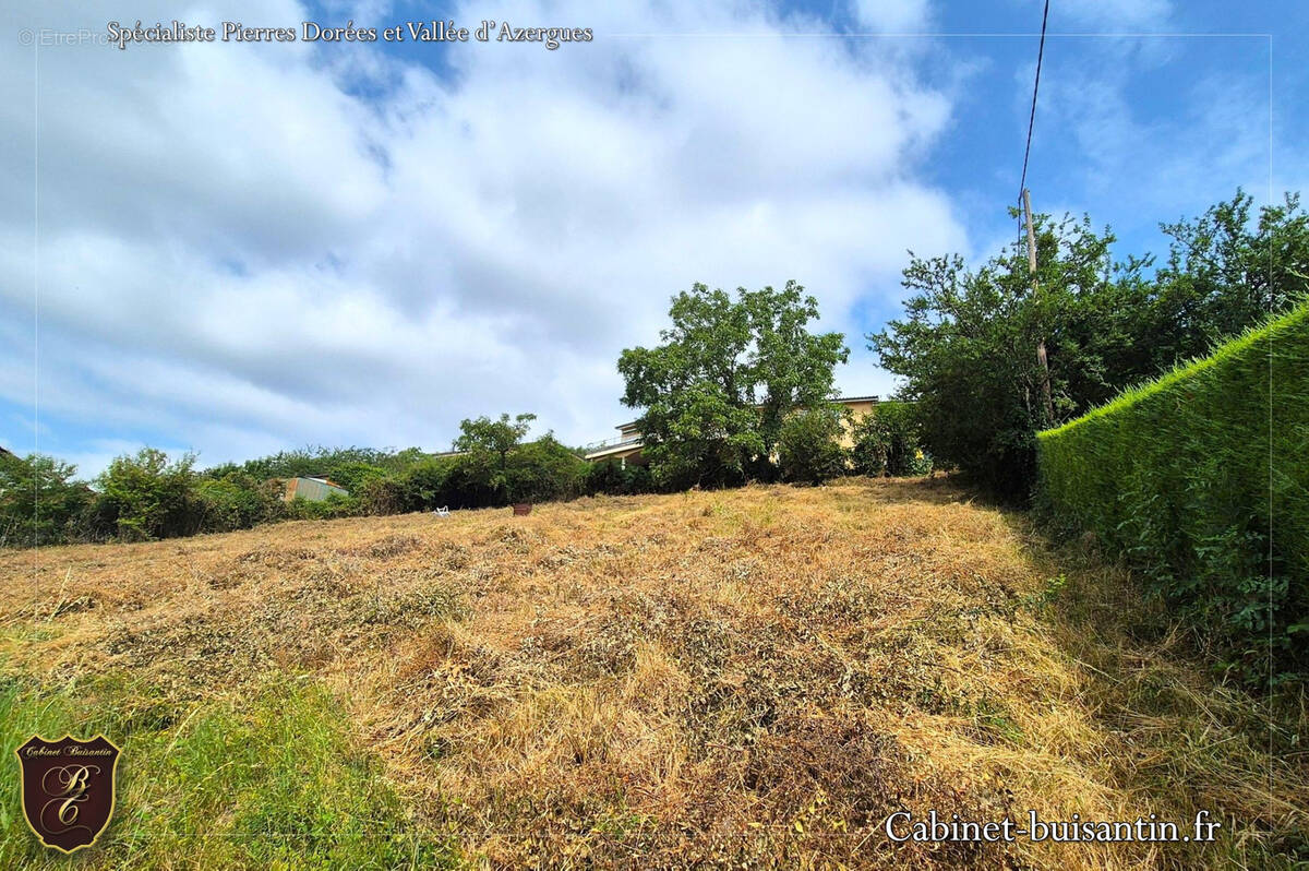 Terrain à LE BOIS-D&#039;OINGT