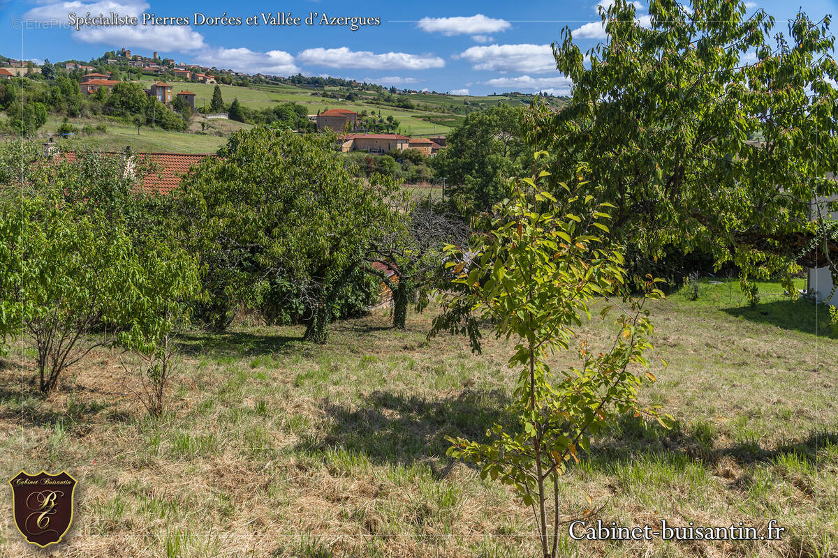 Terrain à LE BOIS-D&#039;OINGT