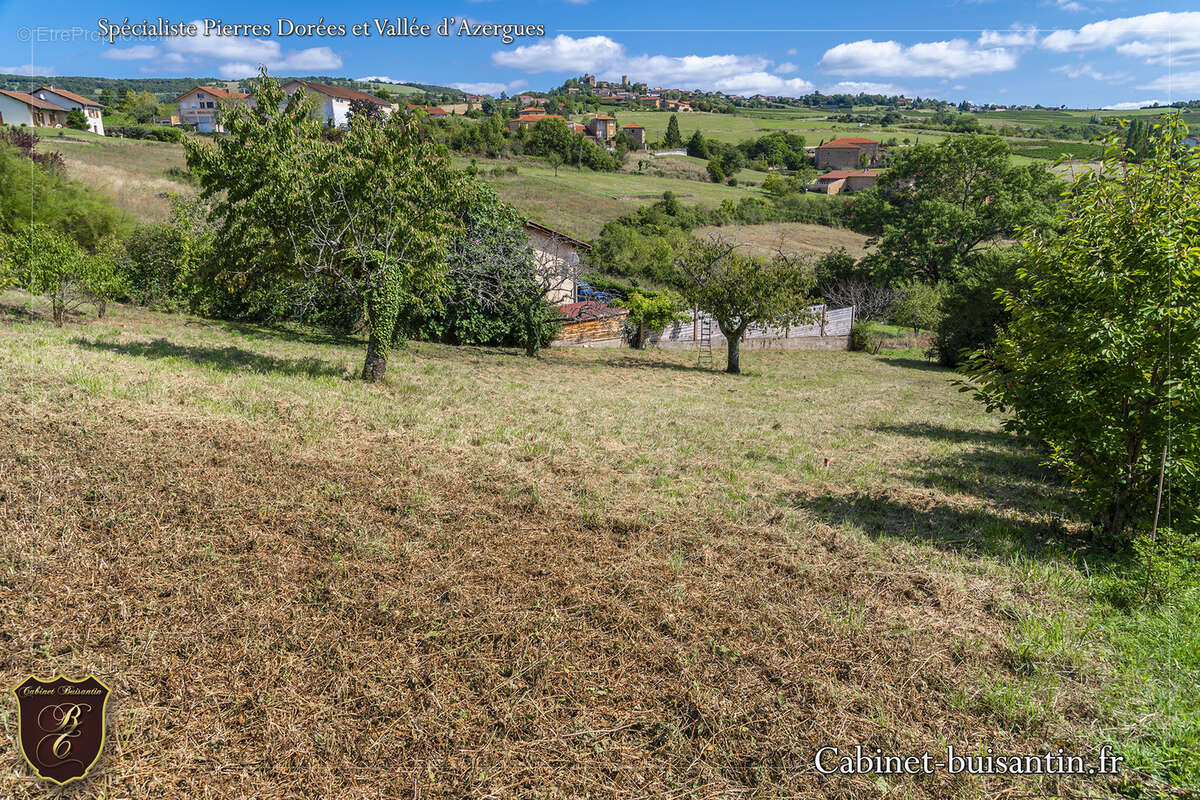 Terrain à LE BOIS-D&#039;OINGT