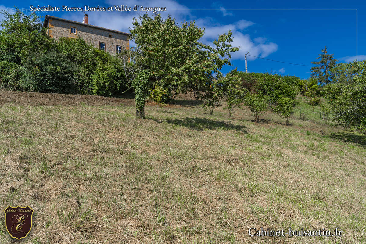 Terrain à LE BOIS-D&#039;OINGT